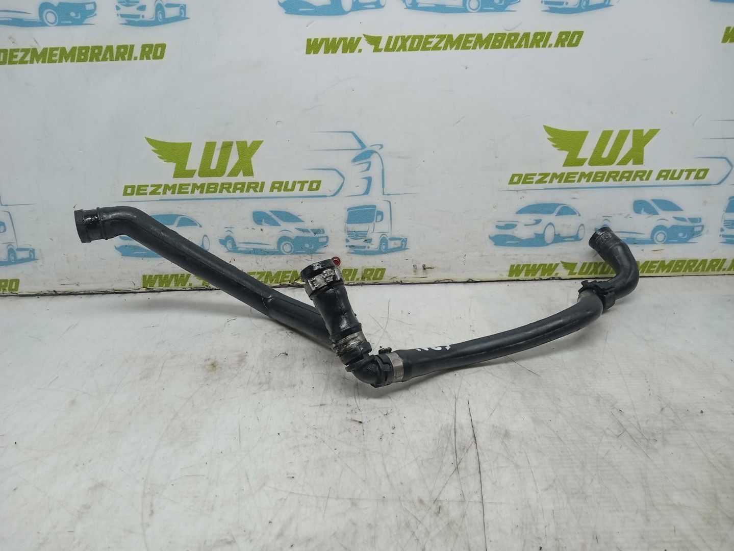 Furtun apa Alfa Romeo 147 1 (2000 - 2004)