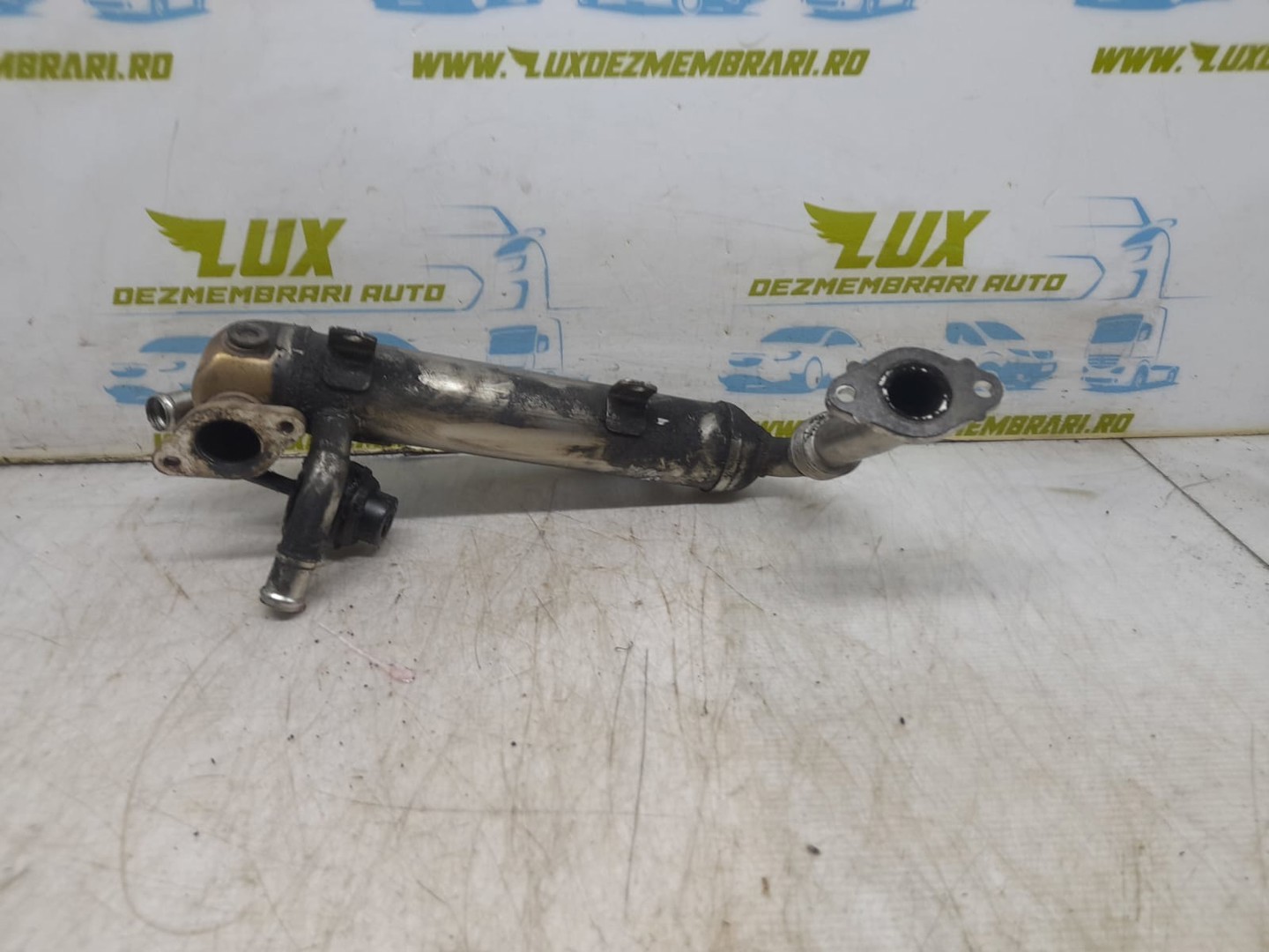 Racitor gaze EGR Volkswagen Golf 5 (2003 - 2009)