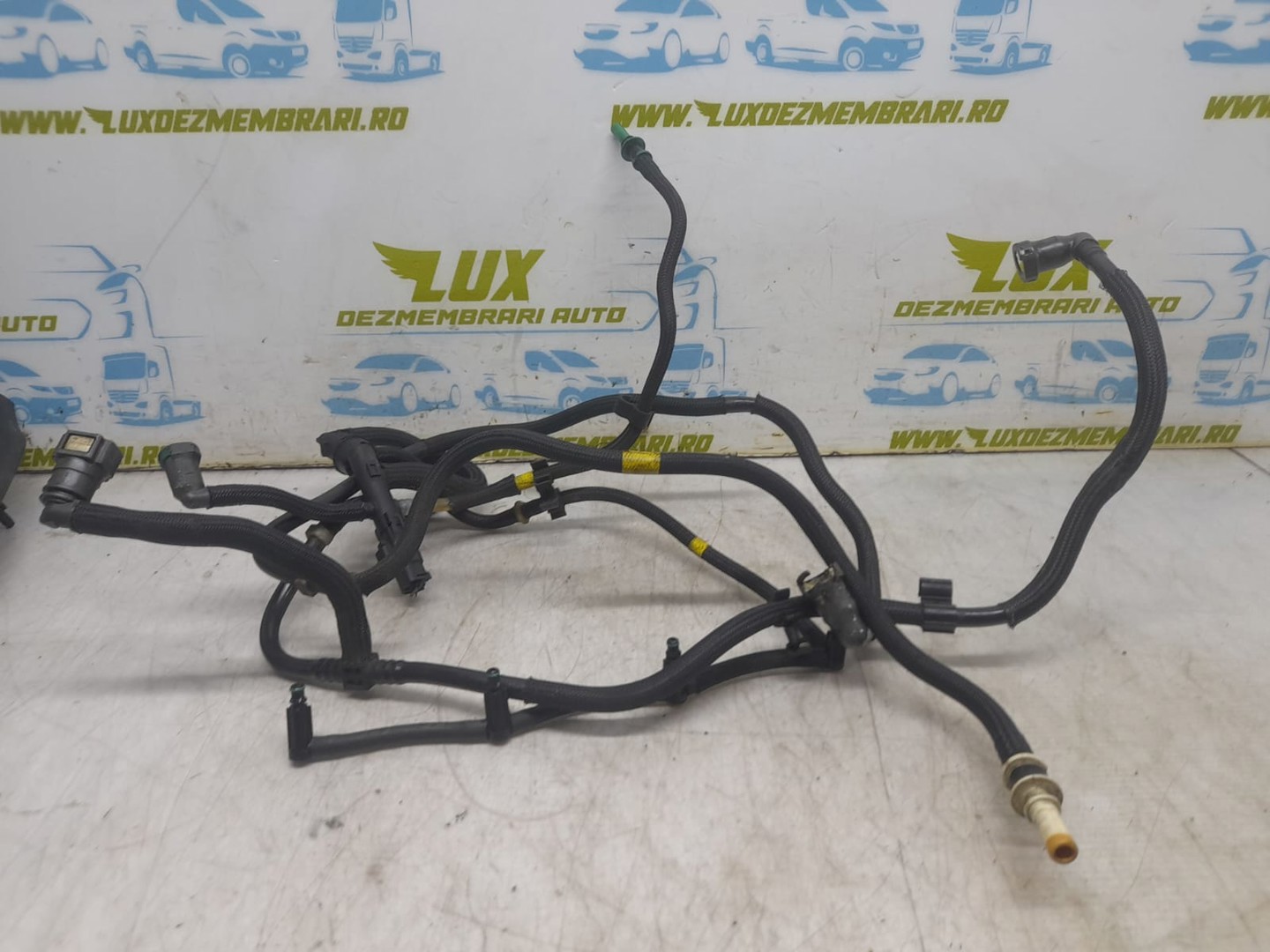 Instalatie Injector Ford Focus 2 (2004 - 2008)
