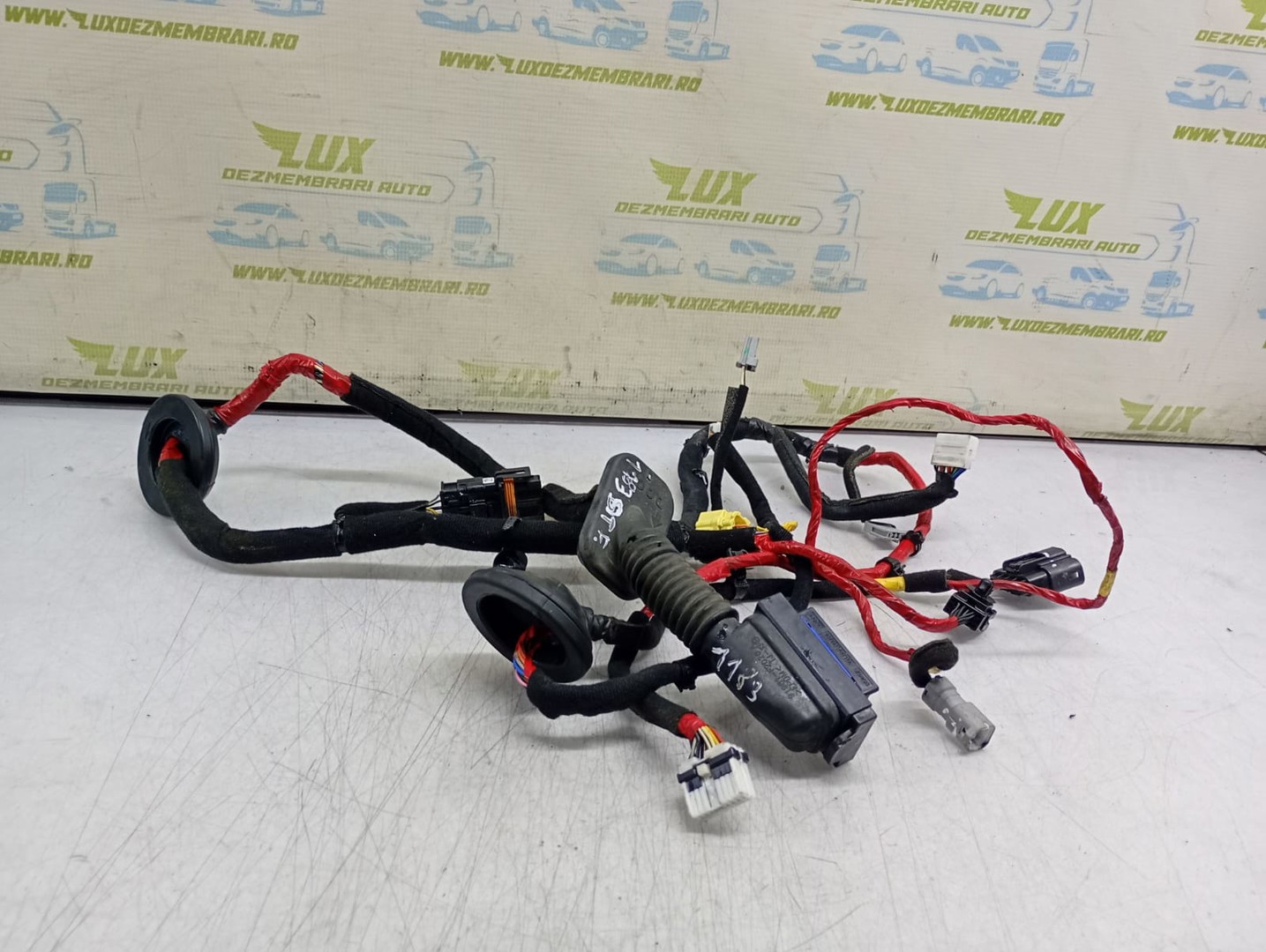 Cablaj electric usa fata stanga Hyundai Ioniq AE (facelift) (2019 - 2023)