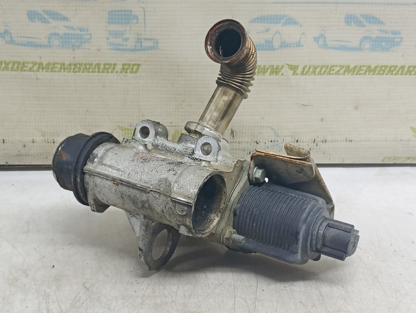 Racitor gaze EGR Dacia Logan 1 (2004 - 2008)