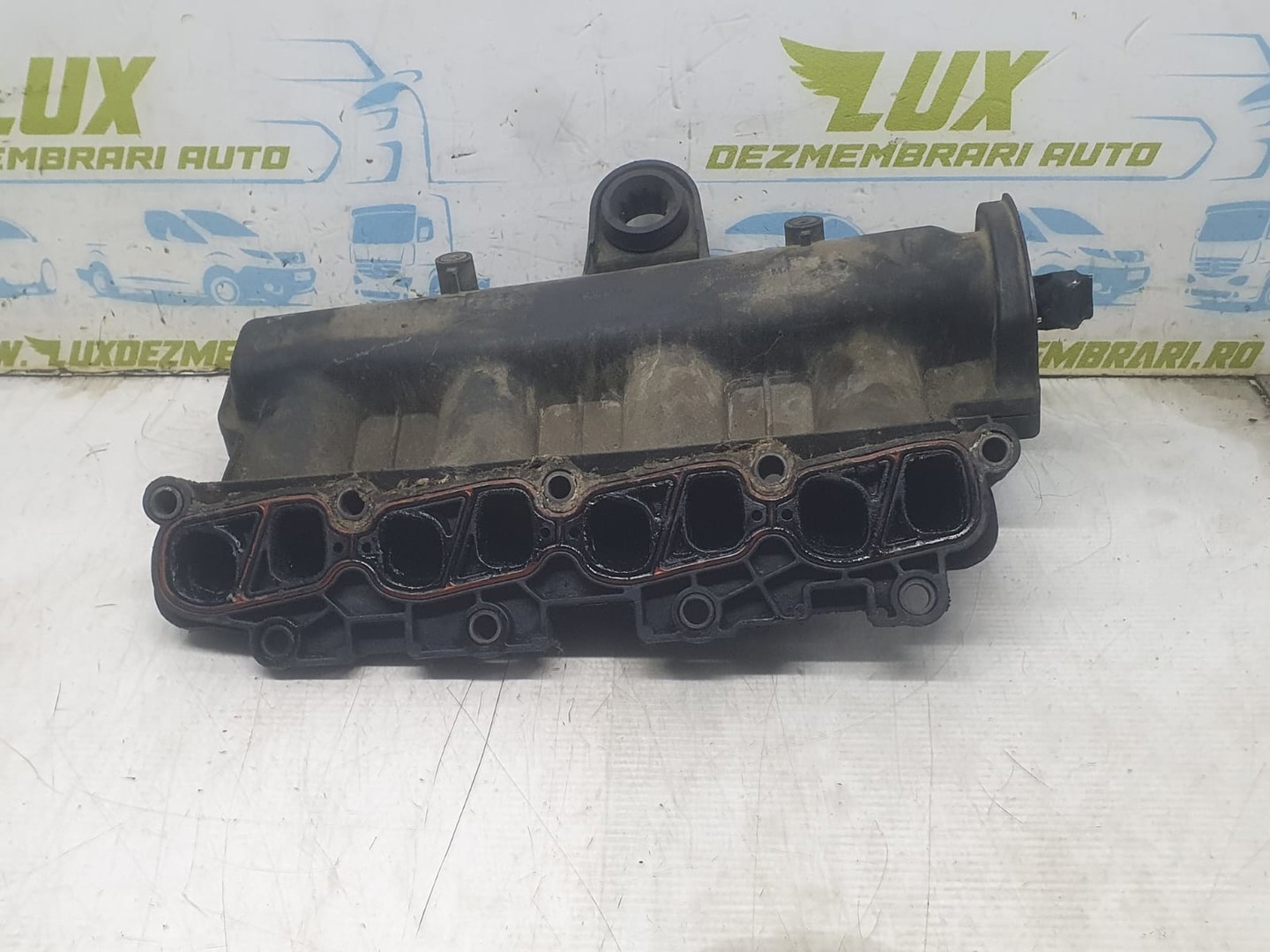 Galerie admisie 55207035 Fiat Linea 1 (2006 - 2012)
