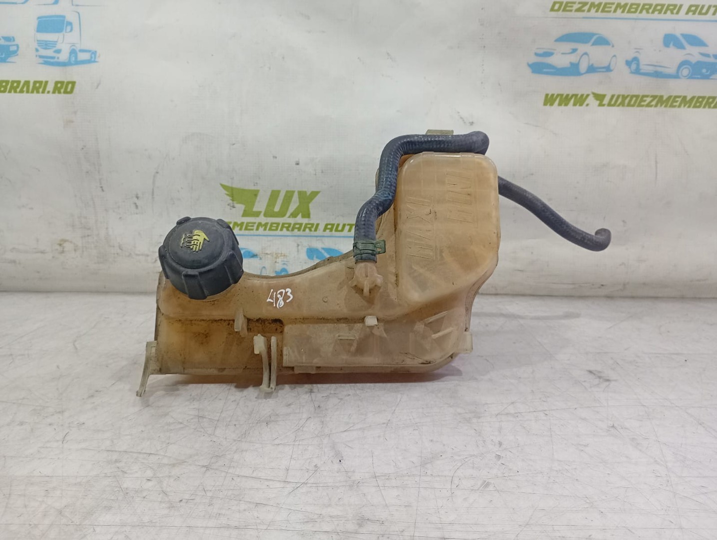 Vas expansiune 217100014r Renault Laguna 3 (2007 - 2011)