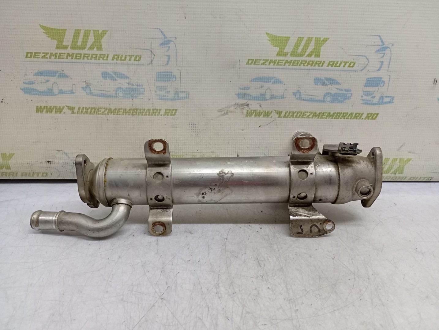 Racitor gaze EGR 03L131512B Volkswagen Golf 6 (2008 - 2015)