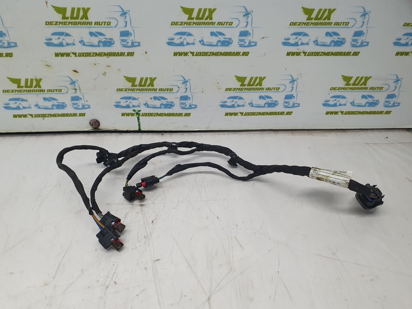 Instalatie Injector Du5t-9f666-ac Ford Kuga 2 (2013 - 2020)