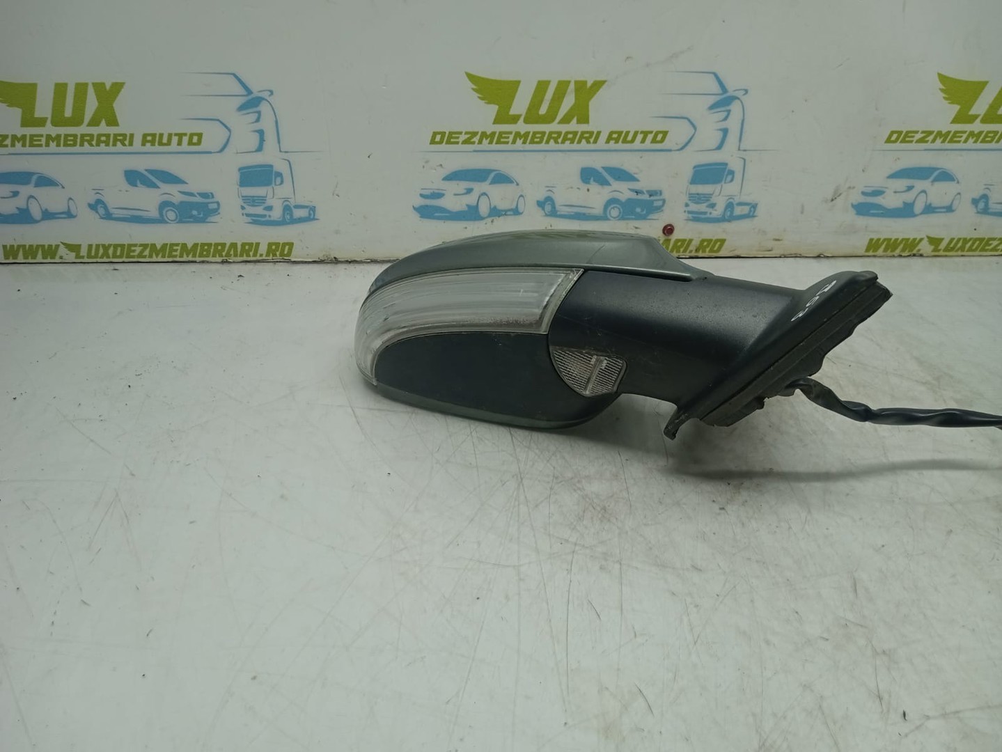 Oglinda dreapta e1010781 Volkswagen Passat B6 (2005 - 2010)