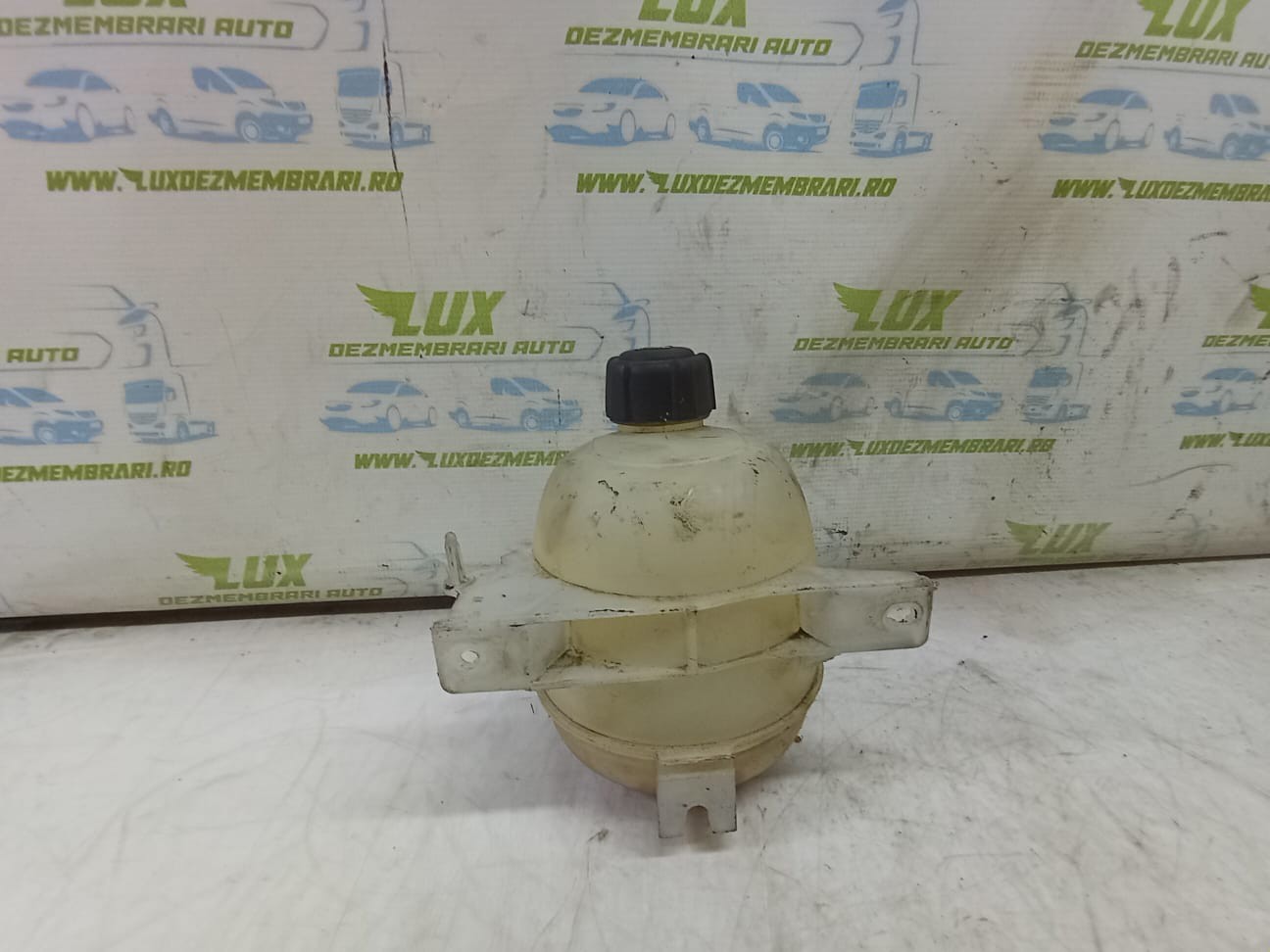 Vas expansiune 8200765826 Dacia Duster 1 (2010 - 2013)