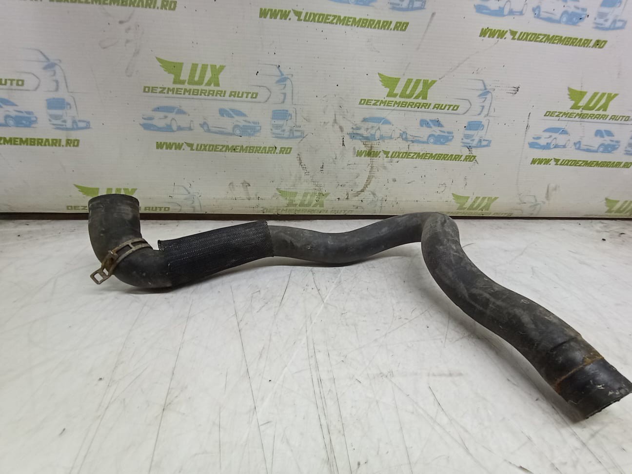 Conducta apa 215015757r Renault Laguna 3 (2007 - 2011)