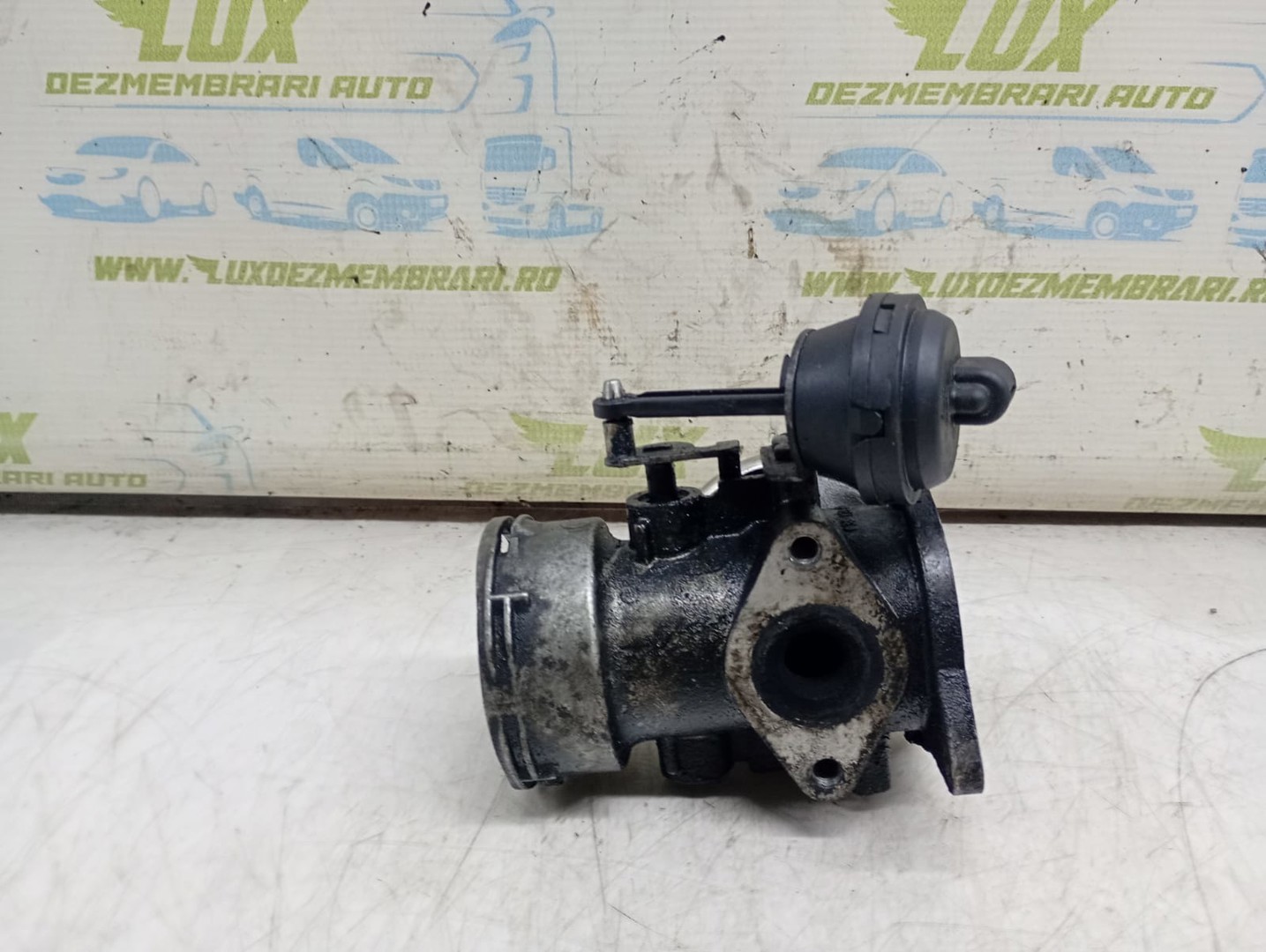 EGR 038131501aa Volkswagen Transporter T5 (2003 - 2009)