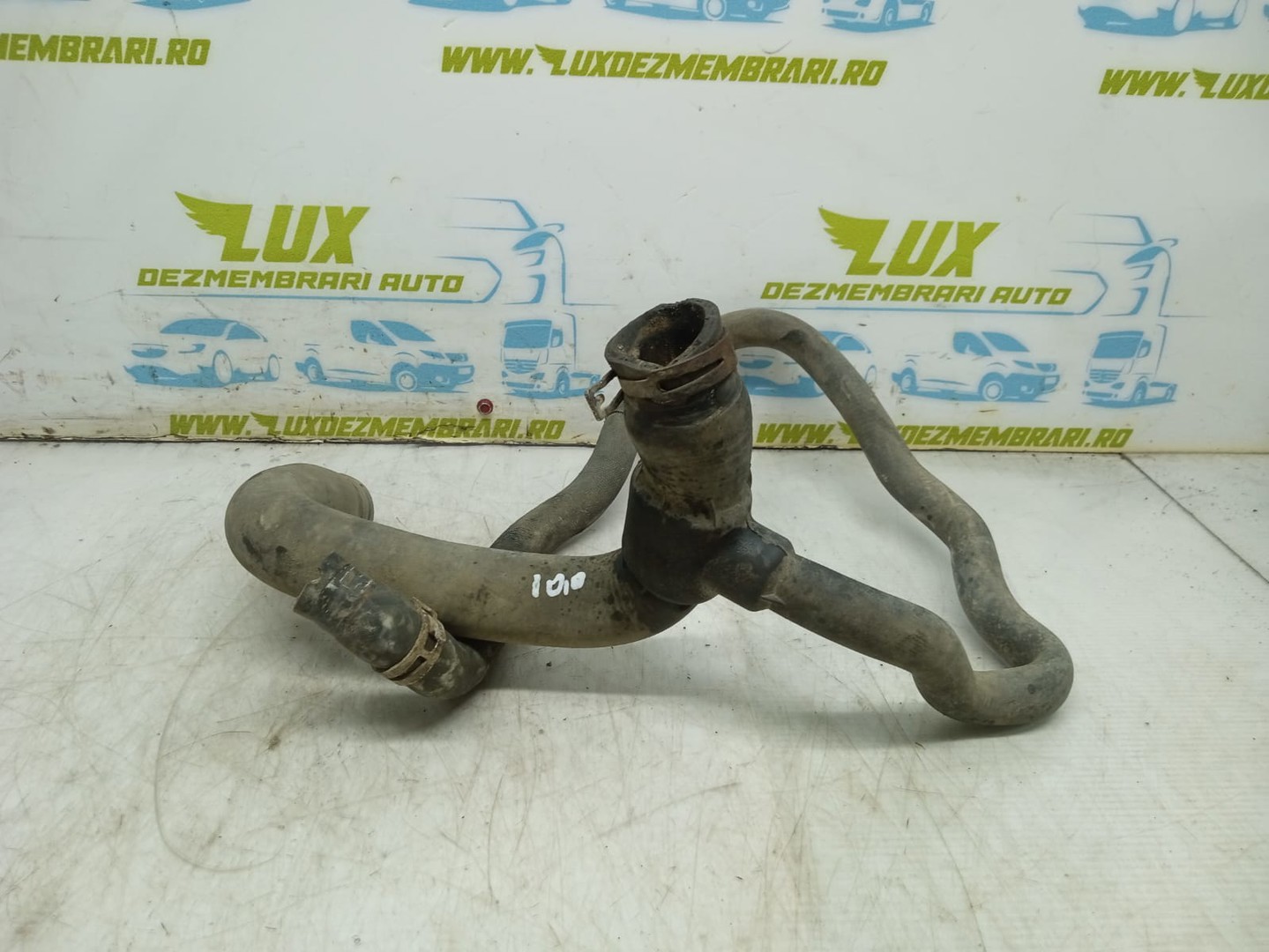 Furtun apa Opel Astra H (2004 - 2007)