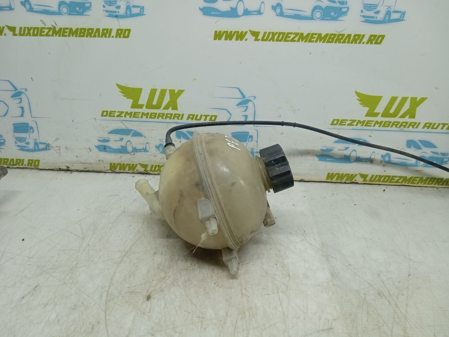Vas expansiune Peugeot 206 2 (2009 - 2013)