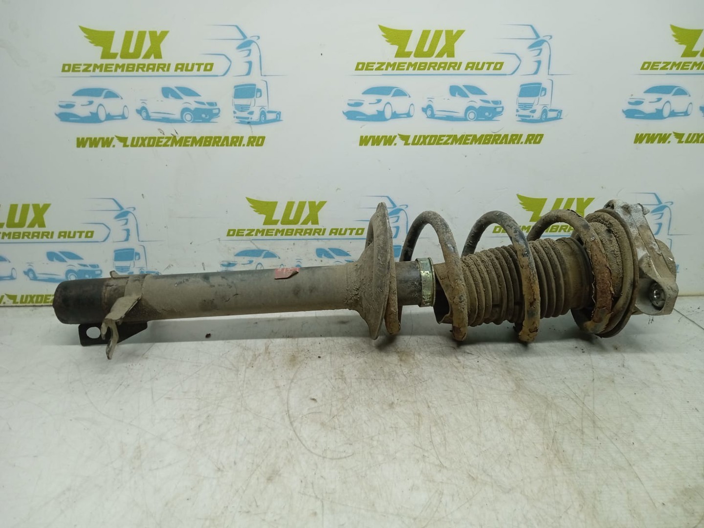 Amortizor cu arc stanga fata Fiat Ducato 3 Typ250 (2006 - 2011)