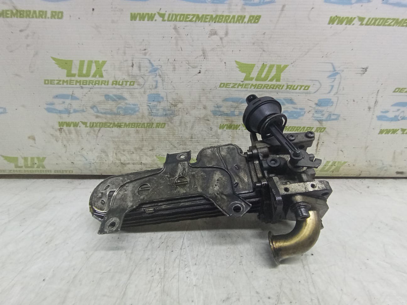 Racitor gaze EGR 038131513ad Volkswagen Touran 1 (2003 - 2006)