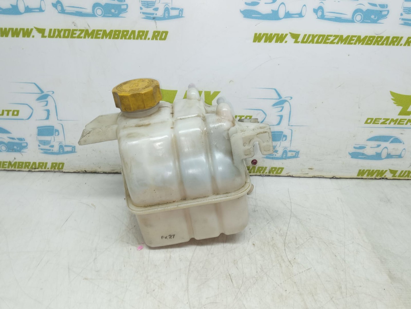 Vas expansiune 96629078 Chevrolet Captiva 1 (2006 - 2011)