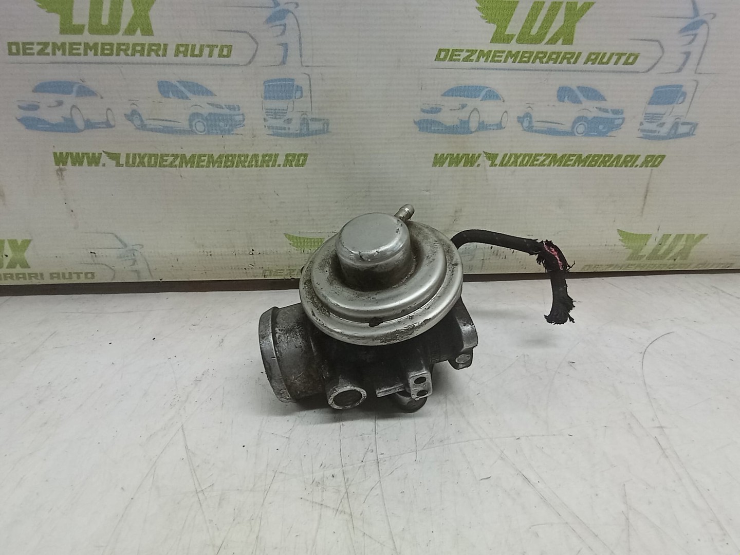 EGR 038131501e Volkswagen Golf 4 (1997 - 2006)