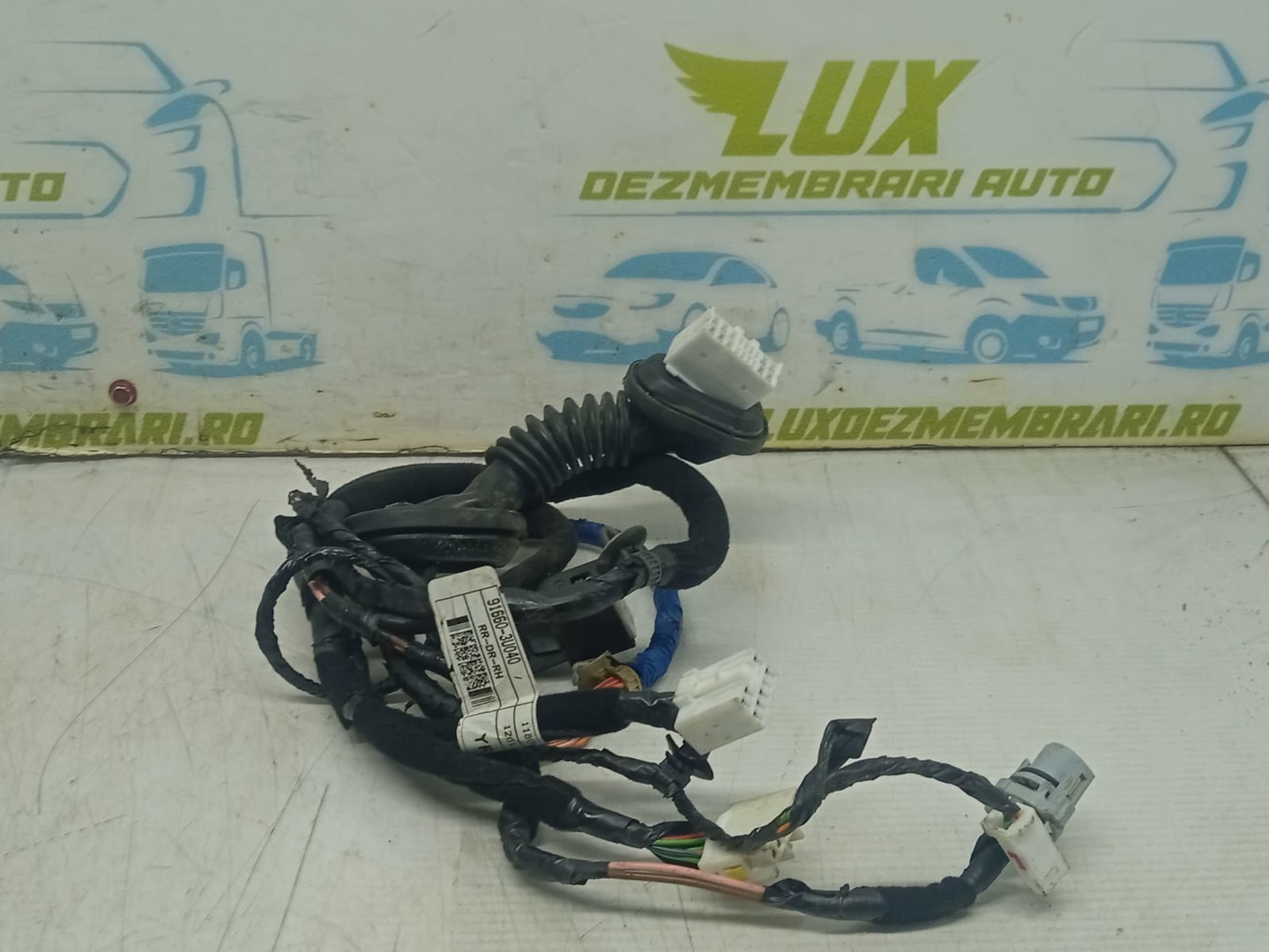 Cablaj electric usa fata stanga 91660-3u040 Kia Sportage 3 (2010 - 2014)