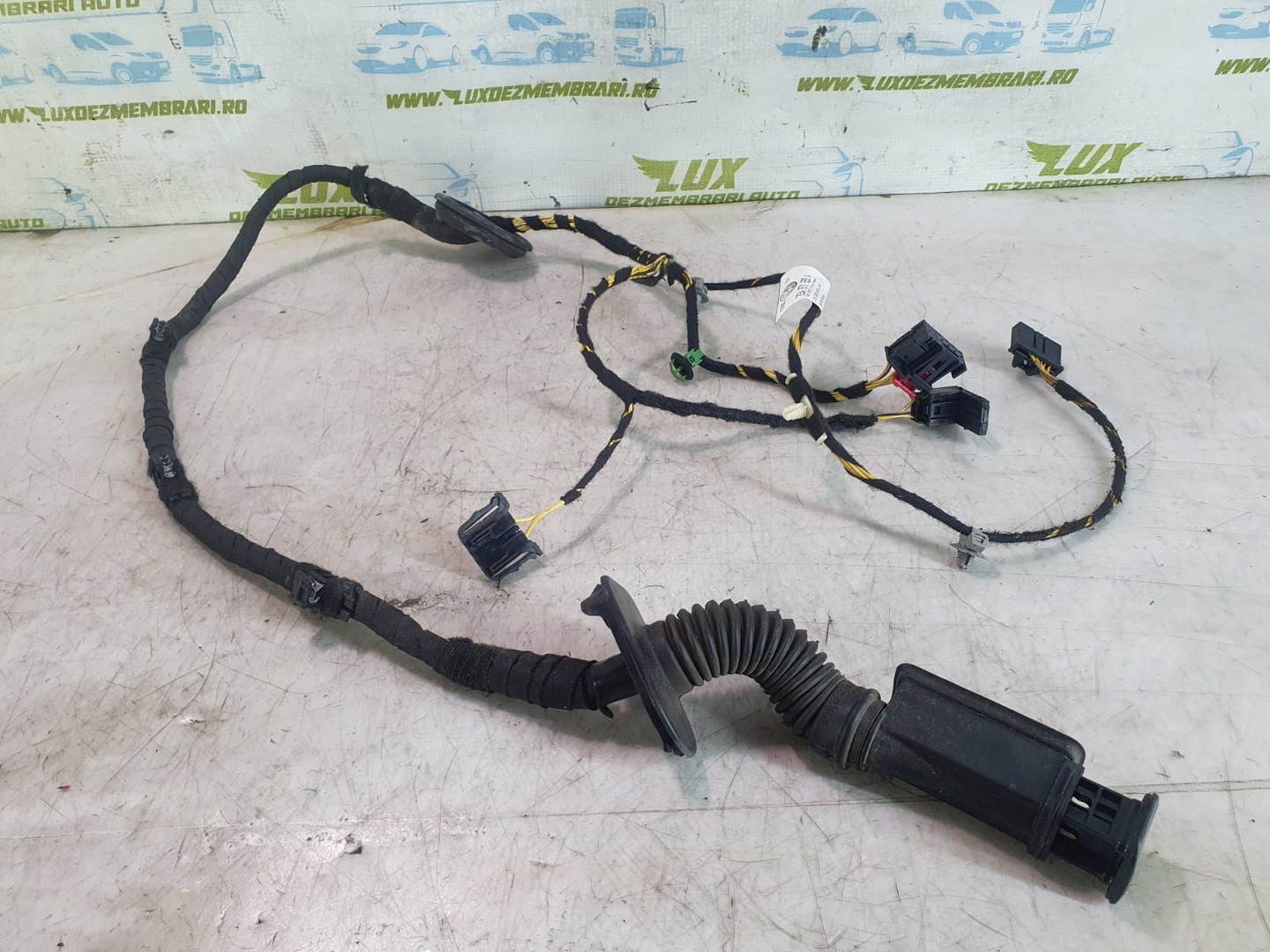 Cablaj electric usa spate stanga 2ga971693a Volkswagen T-Roc 1 (2017 - 2020)