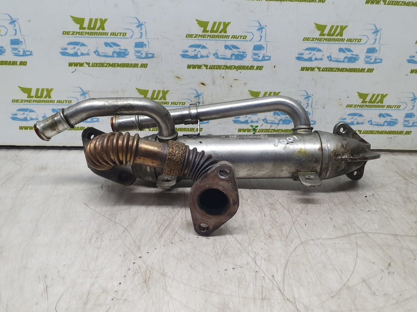 Racitor gaze EGR 038131513s Audi A4 B7 (2004 - 2008)