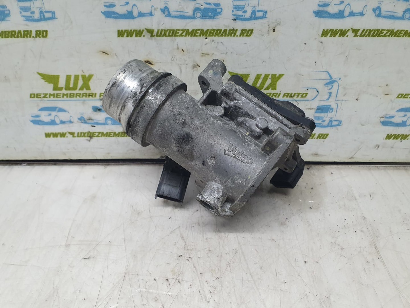 Clapeta acceleratie 161a09287r Renault Megane 4 (2016 - 2020)