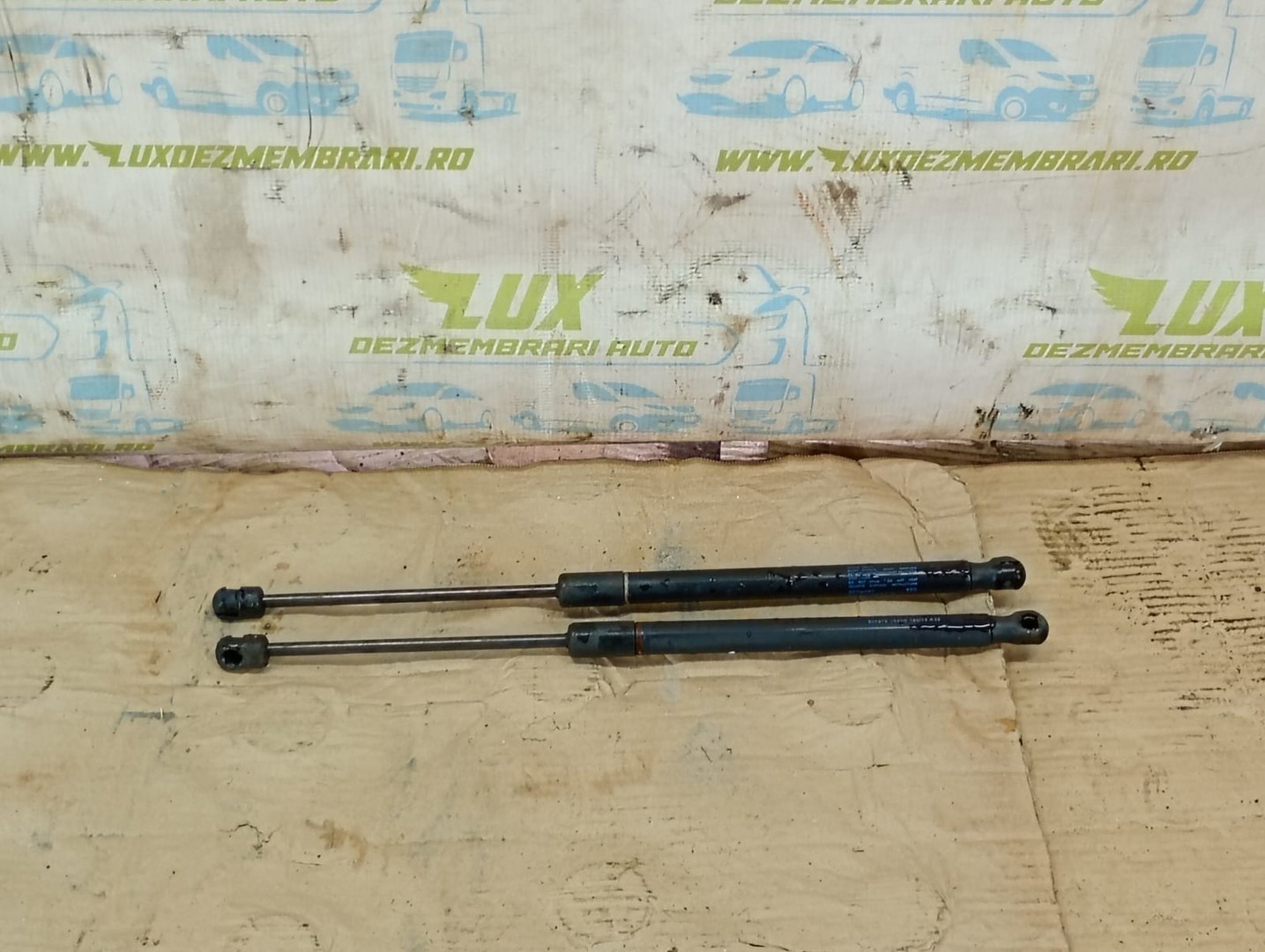 Amortizor haion Volkswagen Passat B7 (2010 - 2015)