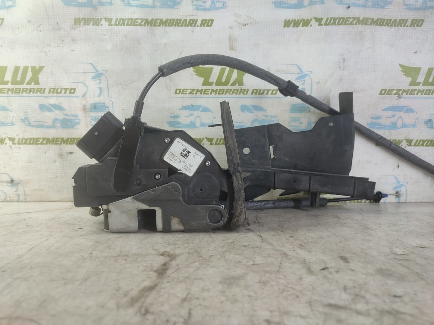 Broasca dreapta fata bm5a-a21812-bf Ford Focus 3 (facelift) (2014 - 2020)