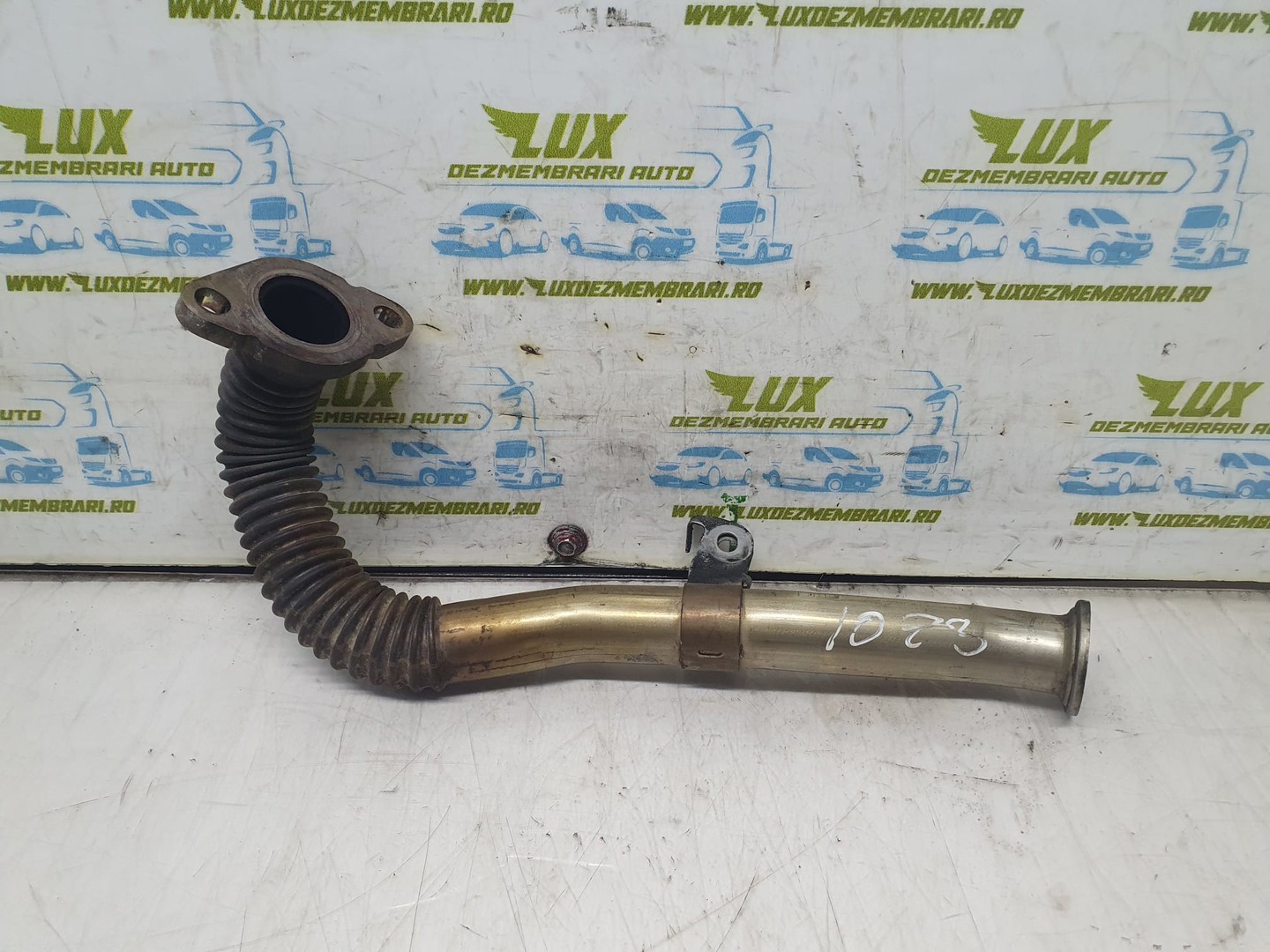 Conducta EGR Renault Latitude 1 (2010 - 2014)