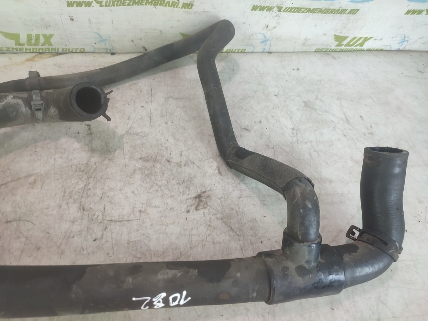 Furtun apa Dacia Lodgy 1 (2013 - 2020)