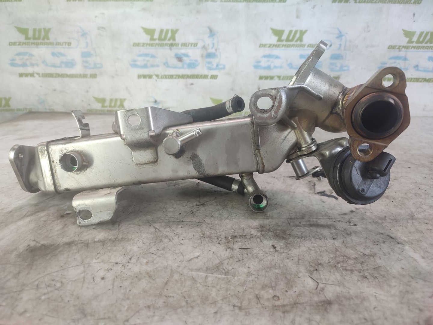 Racitor gaze EGR 7810751-10 BMW X1 E84 (2009 - 2012)