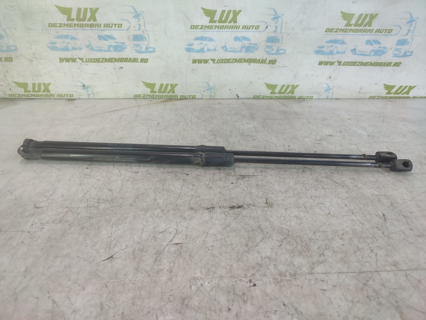 Amortizor haion BMW X1 E84 (2009 - 2012)