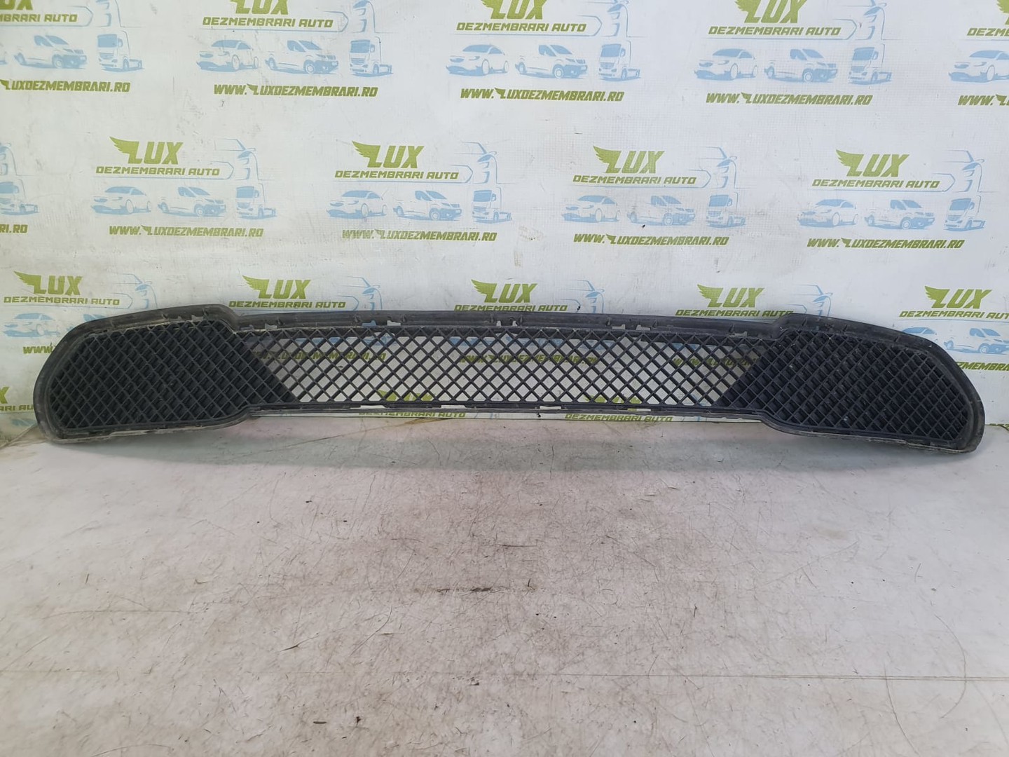 Grila bara fata 2990475 BMW X1 E84 (2009 - 2012)