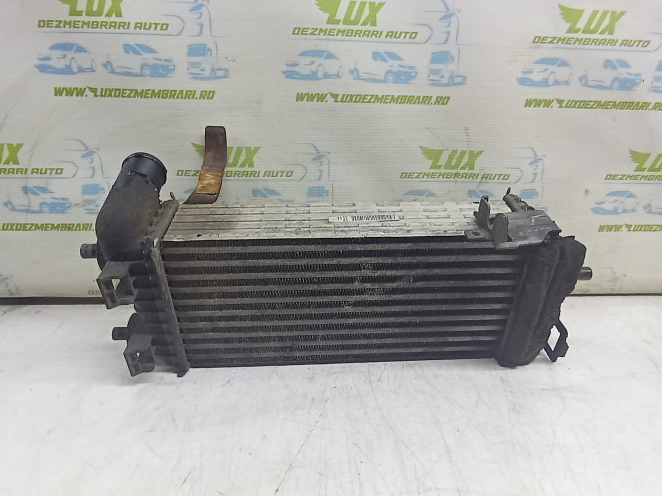 Radiator intercooler bv61-9L440-ce Ford Focus 3 (2011 - 2015)