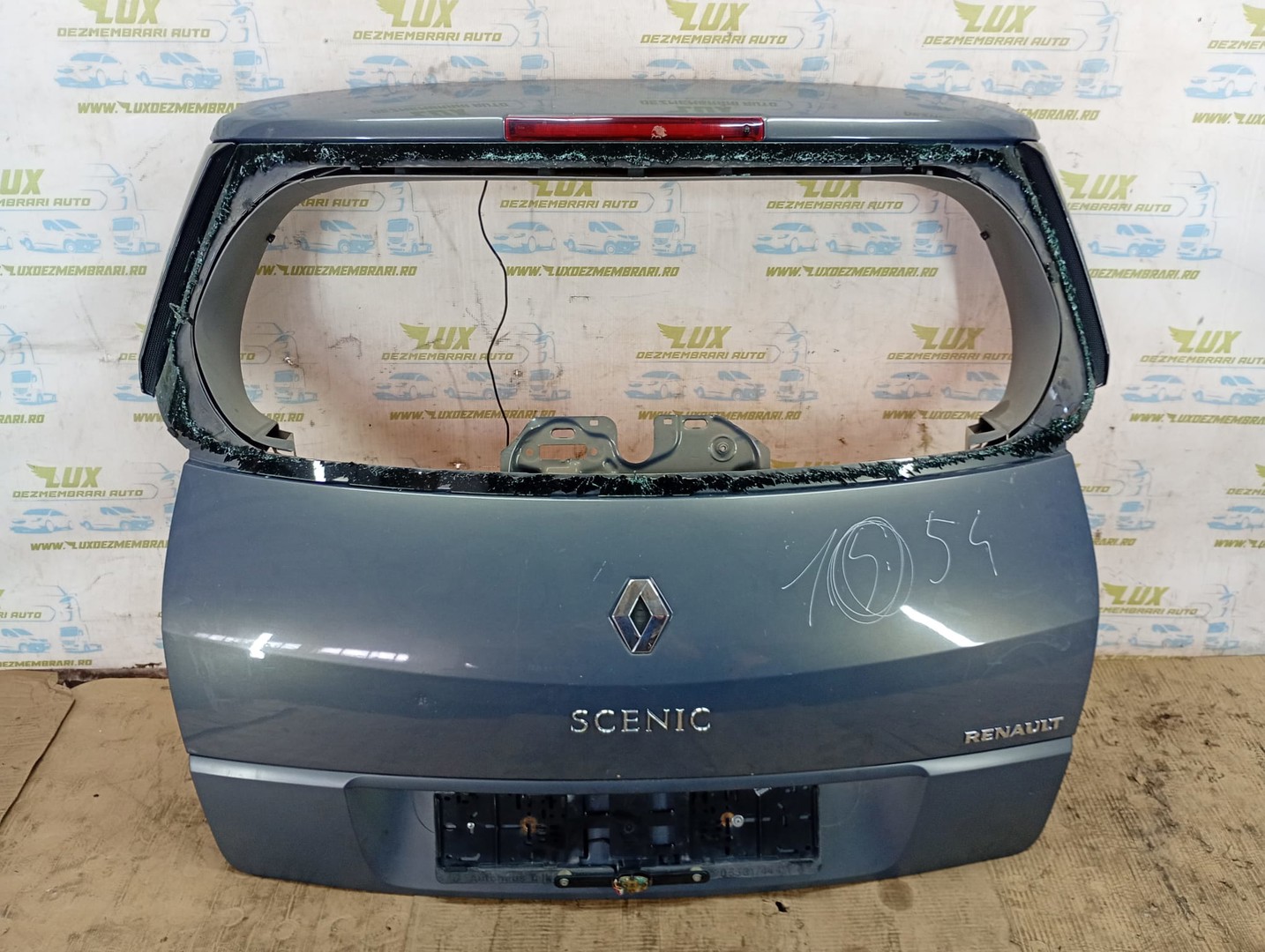 Haion Renault Scenic 2 (facelift) (2006 - 2010)