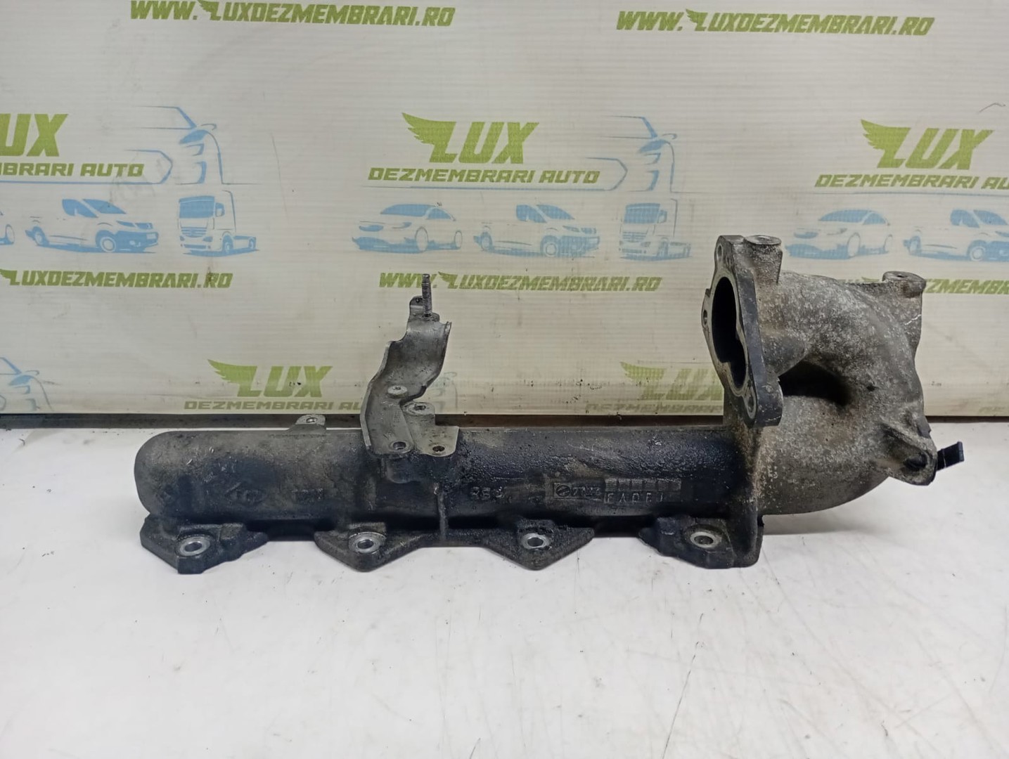 Galerie admisie 556913a Renault Scenic 2 (facelift) (2006 - 2010)