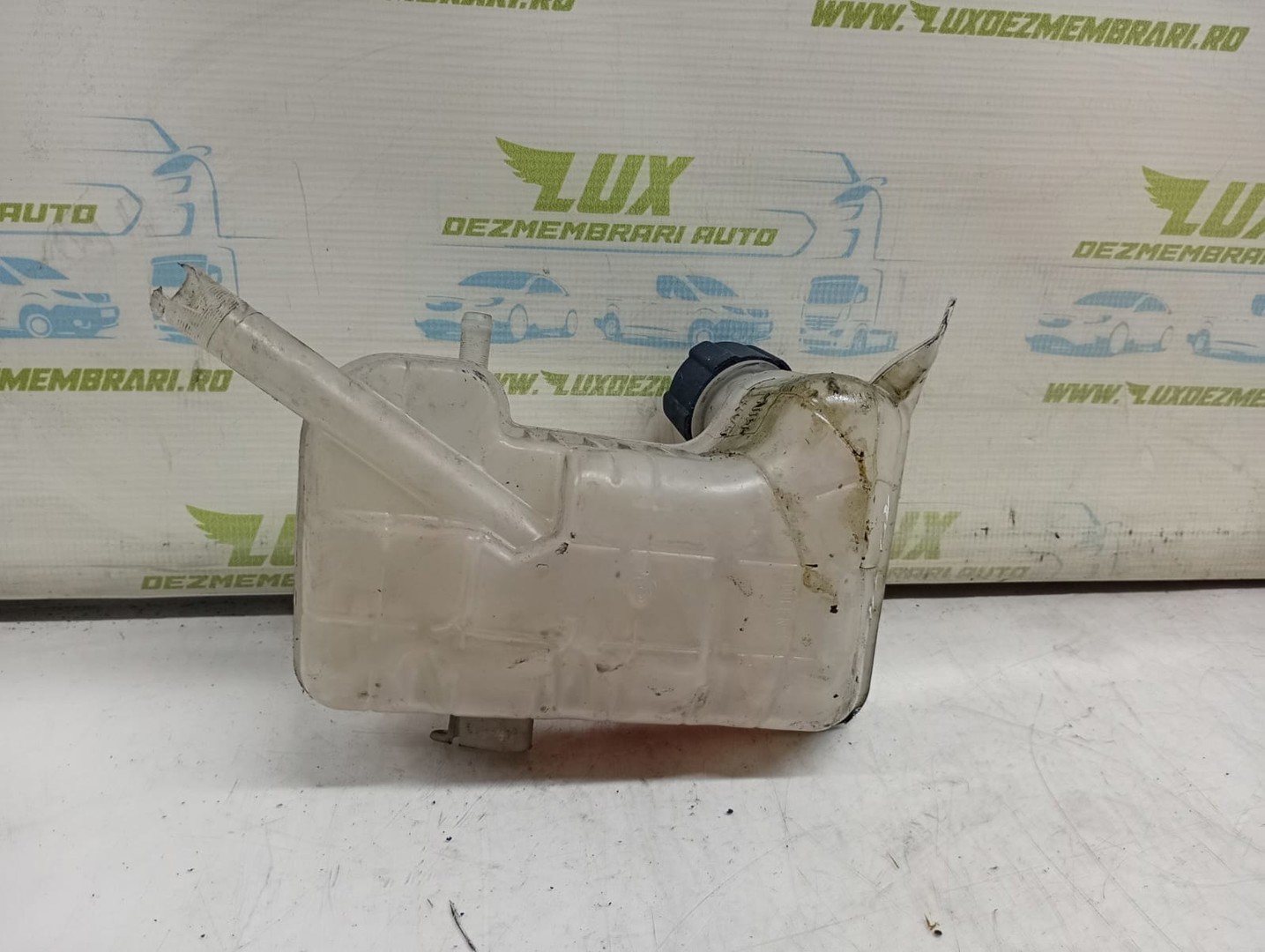 Vas expansiune 8200262036 Renault Scenic 2 (facelift) (2006 - 2010)