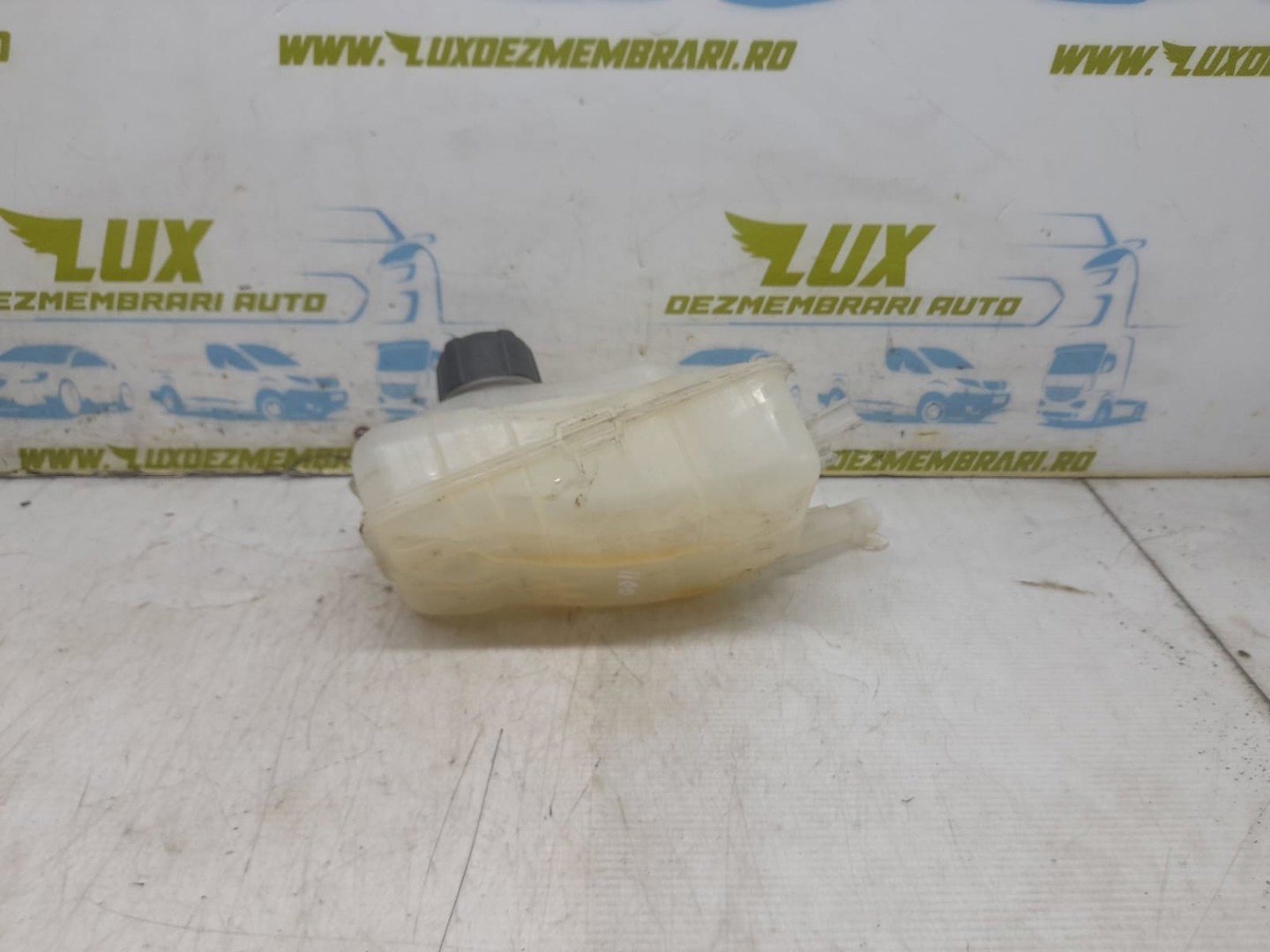 Vas expansiune 217100005R Renault Scenic 3 (2009 - 2012)
