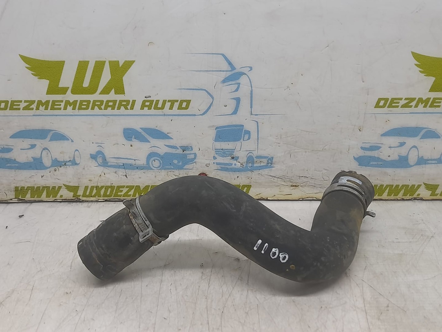 Furtun apa Renault Scenic 3 (2009 - 2012)