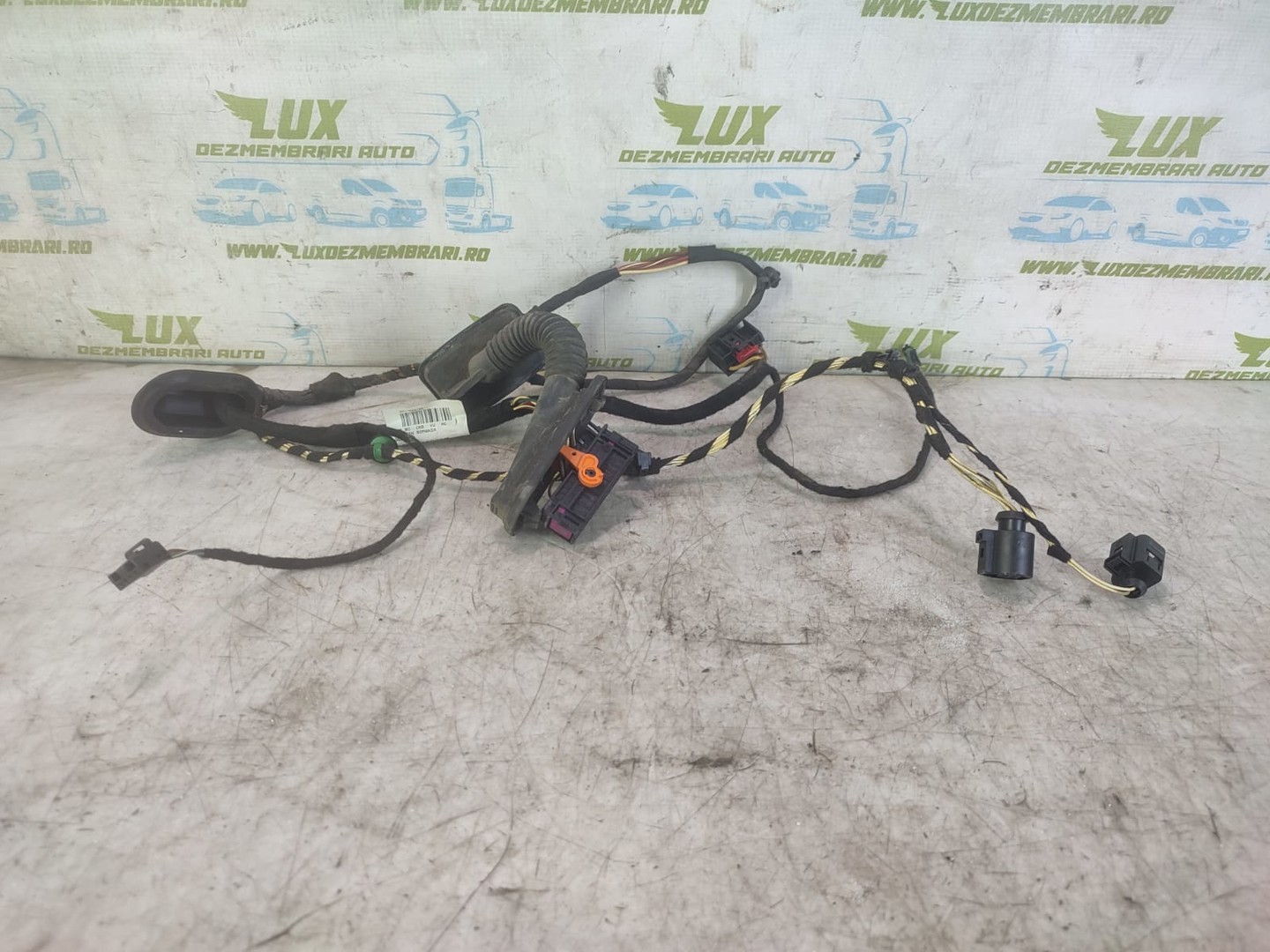 Cablaj electric usa spate stanga 3c8971693dm Volkswagen Passat CC 1 (facelift) (2012 - 2017)