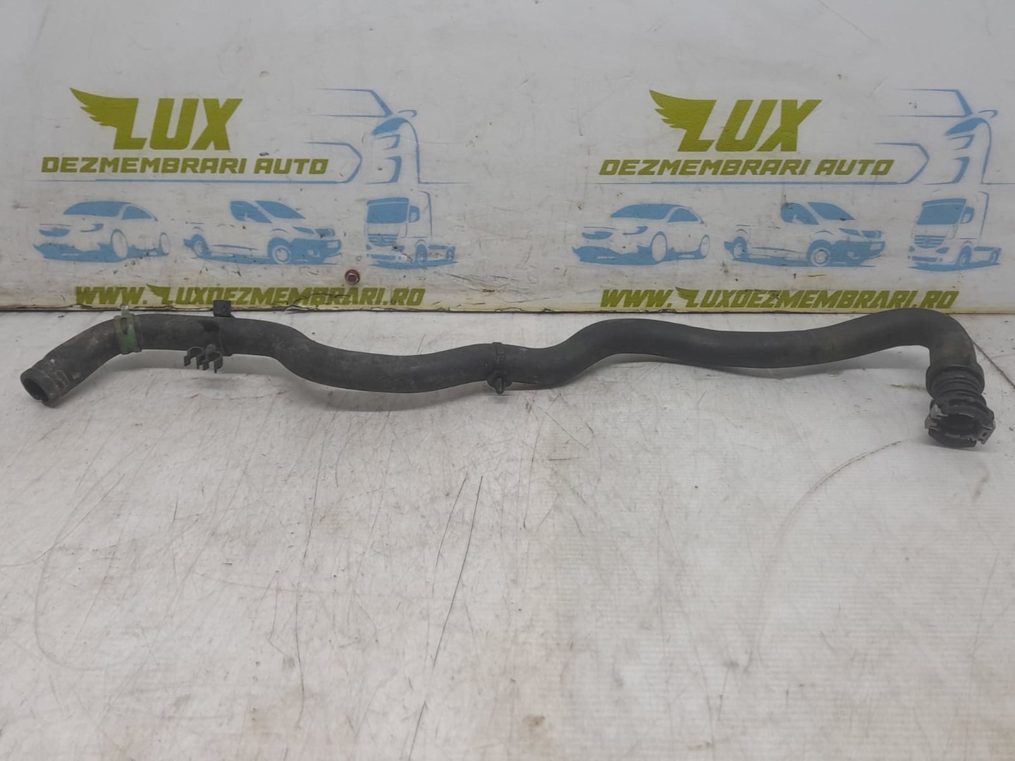 Furtun apa Renault Scenic 3 (2009 - 2012)