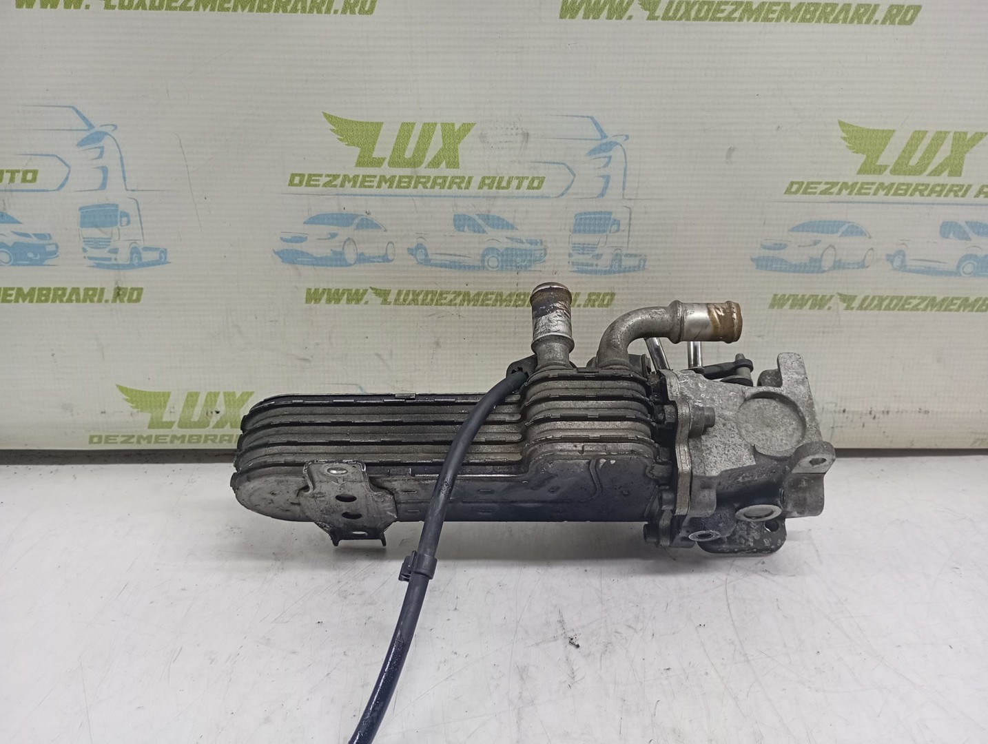 Racitor gaze EGR 03G131513j Volkswagen Golf 5 (2003 - 2009)