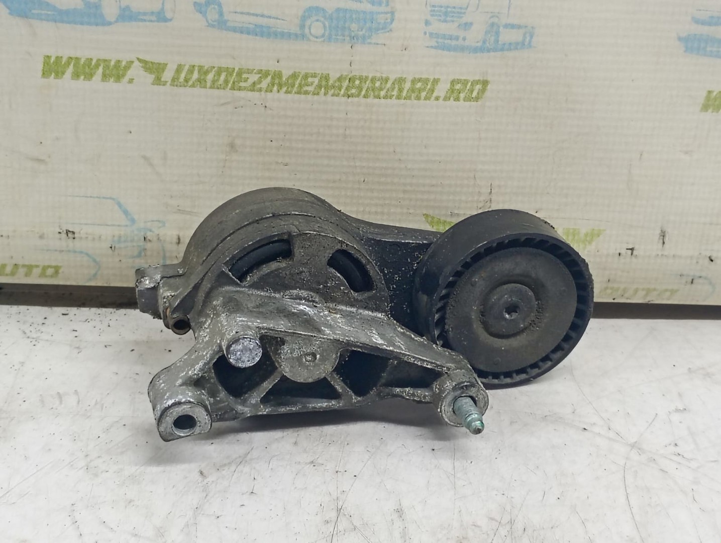 Rola intinzatoare 03G903315 Volkswagen Golf 5 (2003 - 2009)