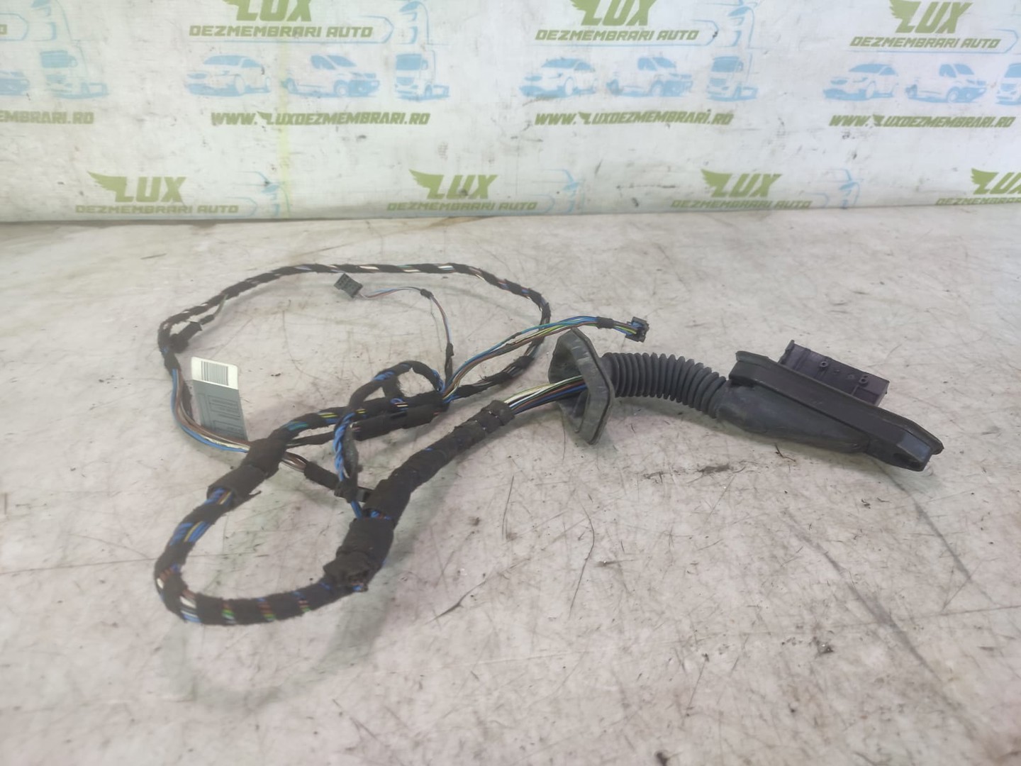 Cablaj electric usa fata dreapta 6928672 BMW Seria 1 E87 (2004 - 2007)