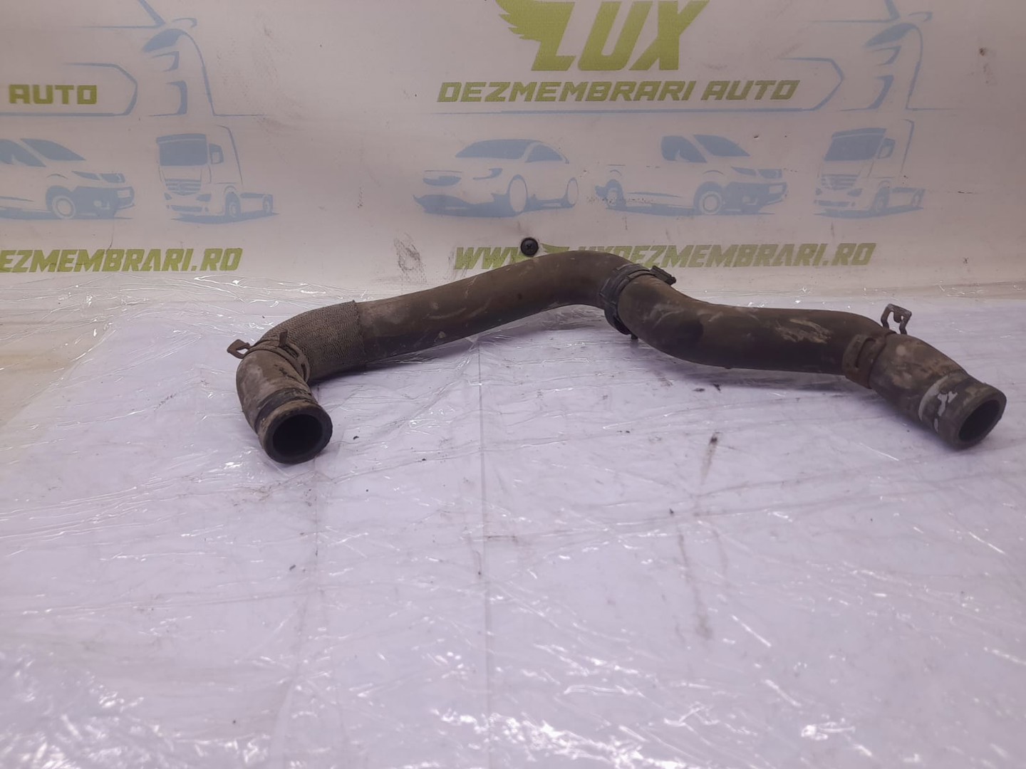 Furtun apa Fiat Ducato 2 Typ244 (2002 - 2006)