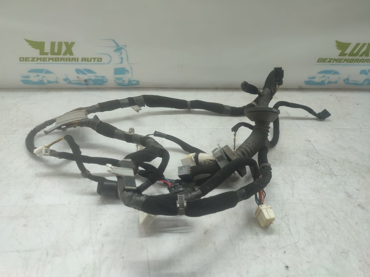 Cablaj electric motor 91600-1f170 Kia Sportage 2 (2004 - 2008)