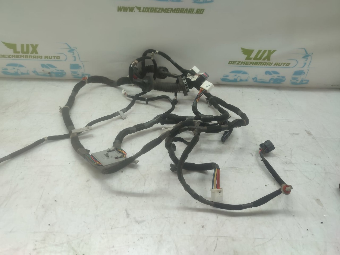 Cablaj electric usa fata dreapta 91610-1f190 Kia Sportage 2 (2004 - 2008)