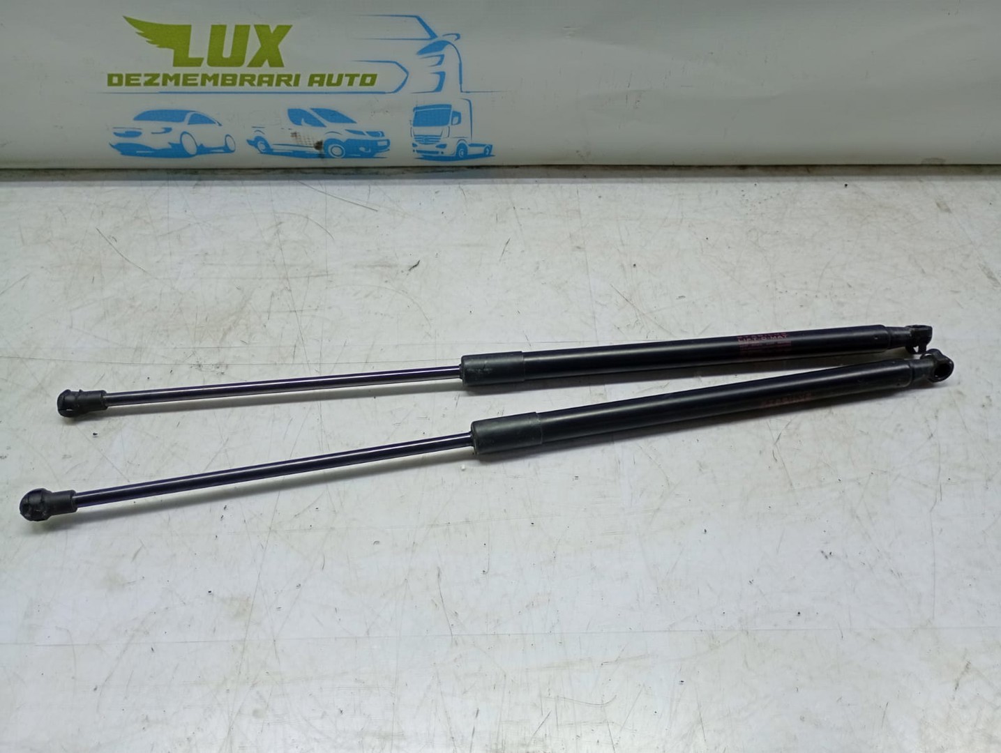 Amortizor haion Nissan Qashqai 2 J11 (2013 - 2020)