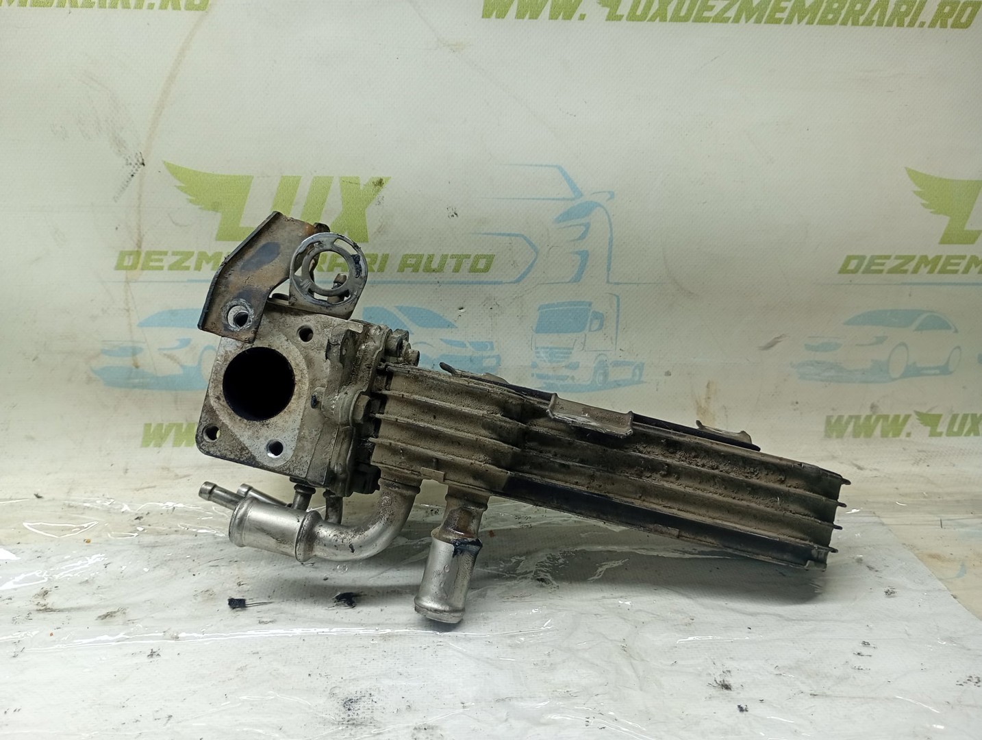 Racitor gaze EGR 038131513D Volkswagen Touran 1 (2003 - 2006)