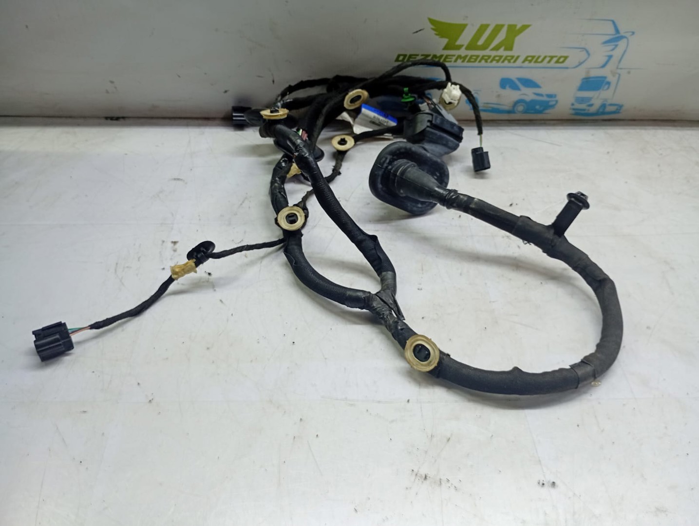 Cablaj electric usa fata stanga 241241651r Renault Talisman 1 (2012 - 2020)