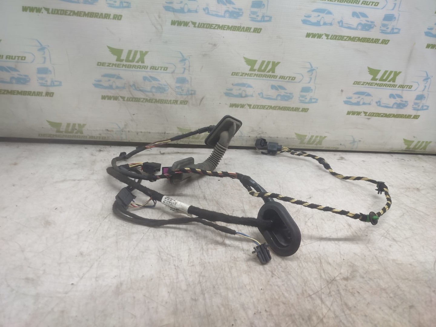 Cablaj electric usa spate stanga 3C8971693CH Volkswagen Passat CC 1 (2008 - 2012)
