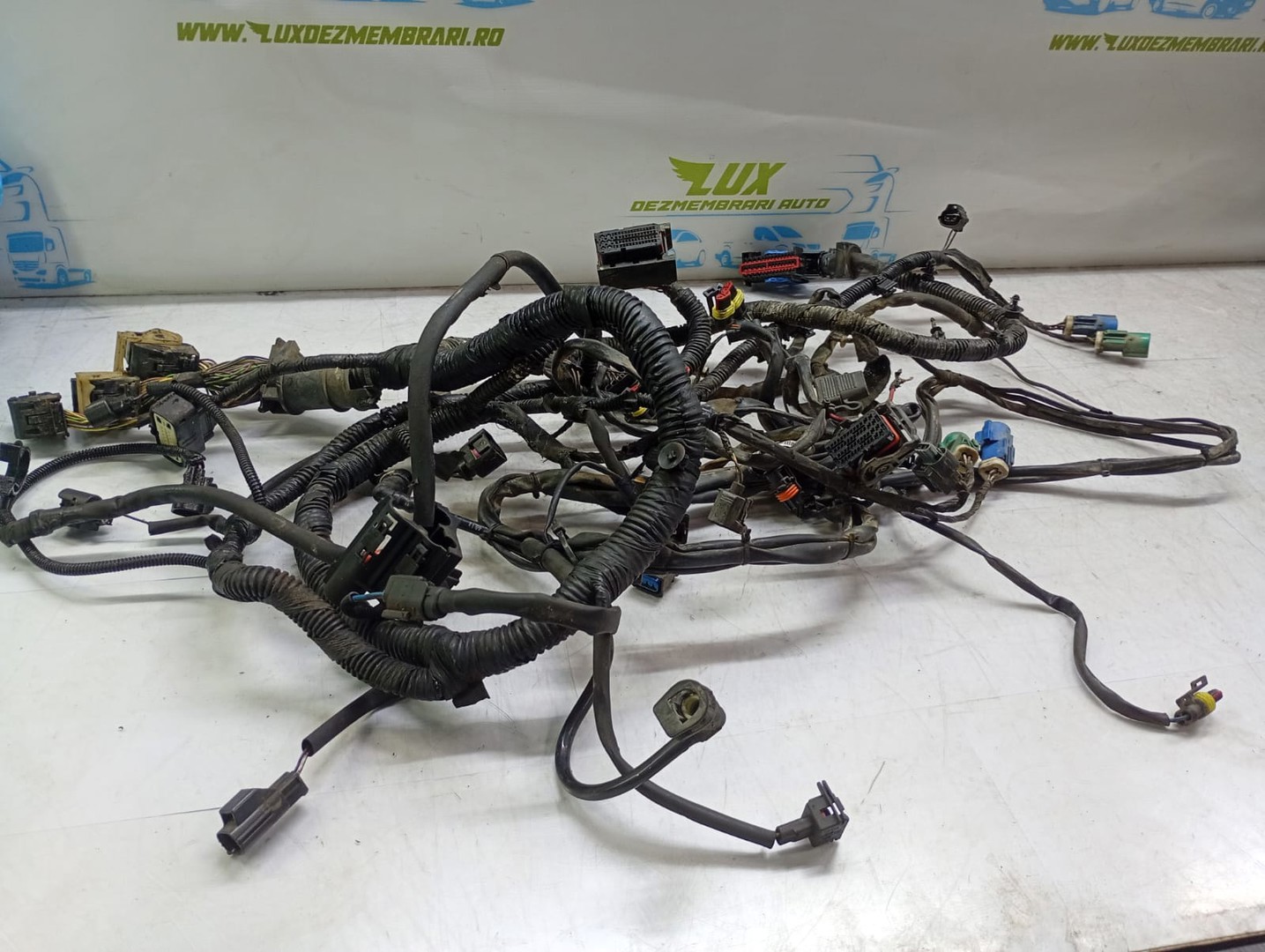 Cablaj electric motor Ford Focus 3 (facelift) (2014 - 2020)