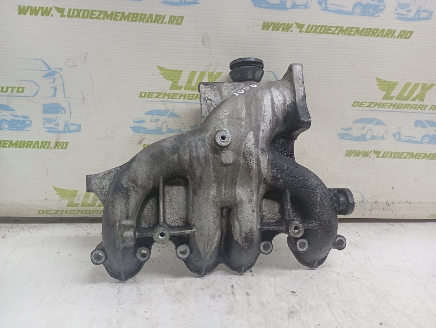 Galerie admisie 03G129713 Volkswagen Golf 5 (2003 - 2009)